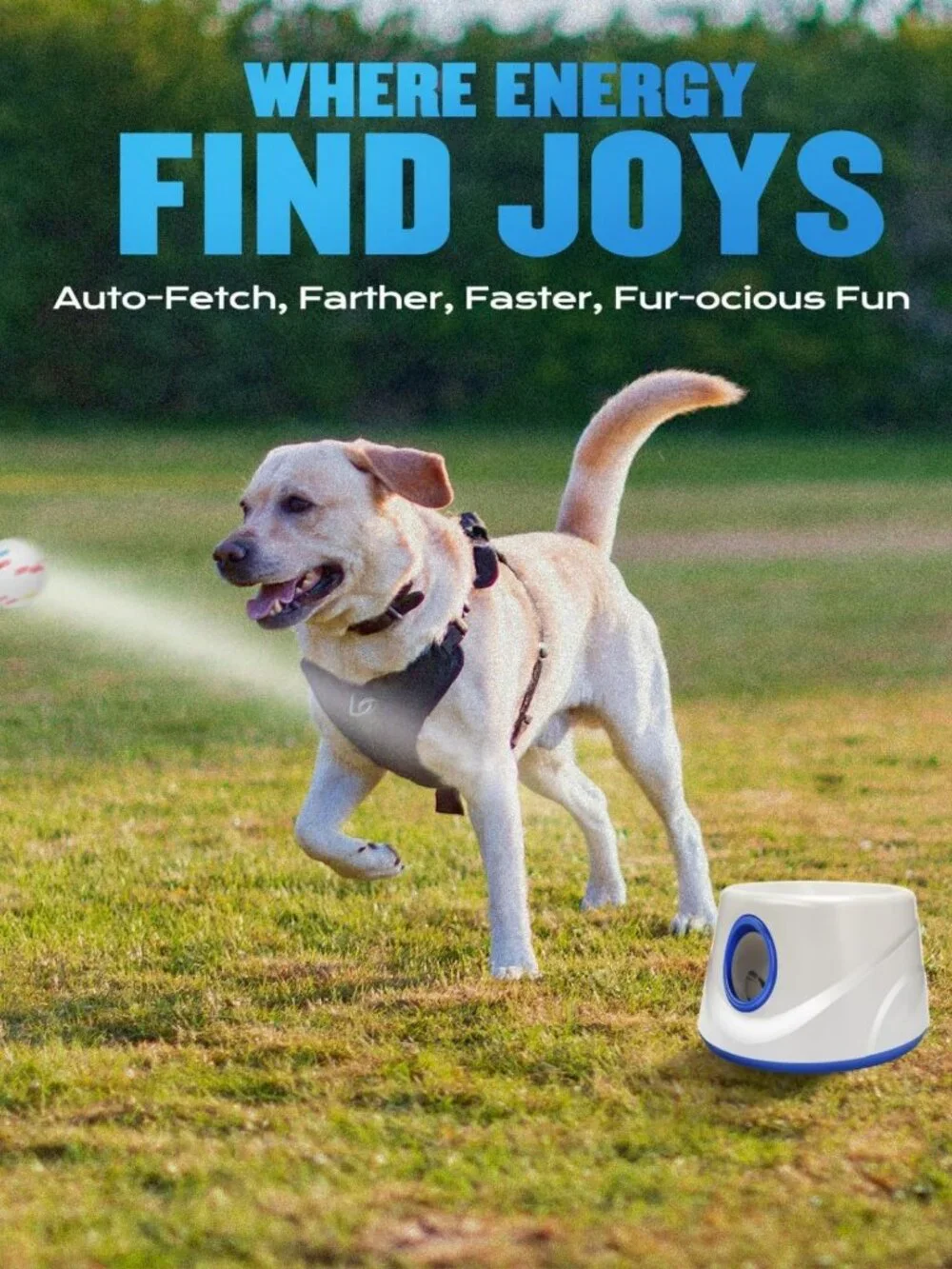 N/A unleash fun